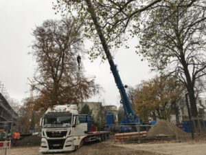 Trockengelegt | Pumpenanlage abgebaut