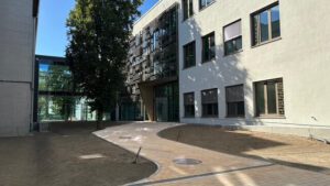 Wo Neues Wurzeln schlägt